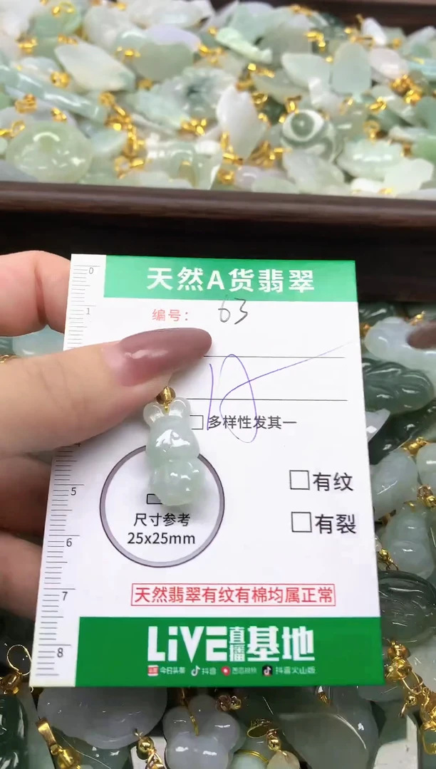 颈饰未镶嵌翡翠纯天然缅甸A货翡翠-63