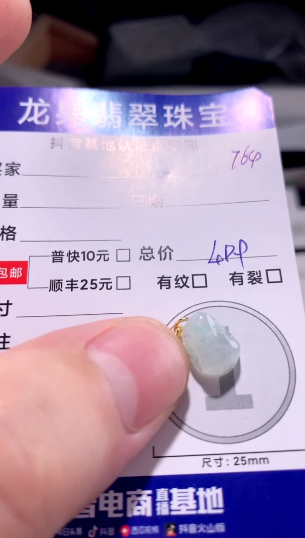 颈饰未镶嵌翡翠冰胶貔貅764