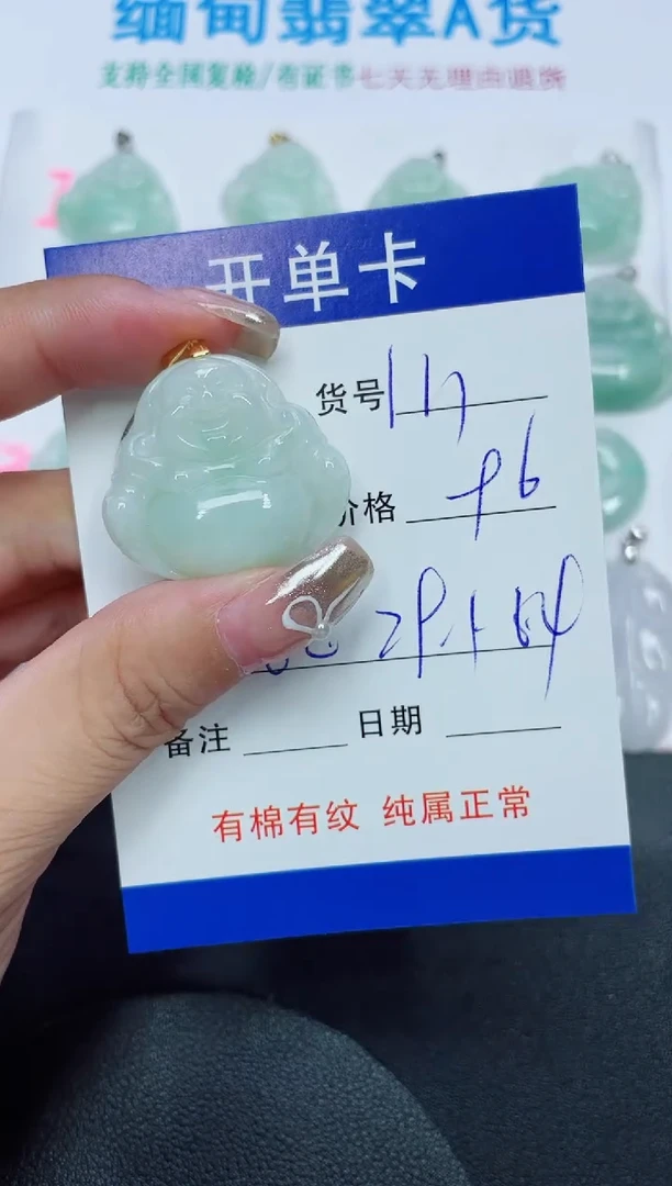 翡翠未镶嵌吊坠(赠链)111