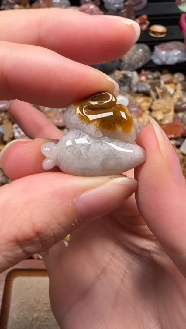 颈饰未镶嵌硅化珊瑚（珊瑚玉）755