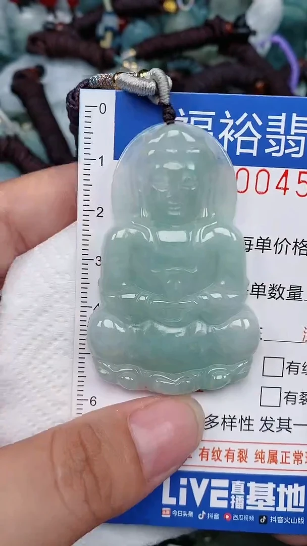 翡翠未镶嵌颈饰...0000455