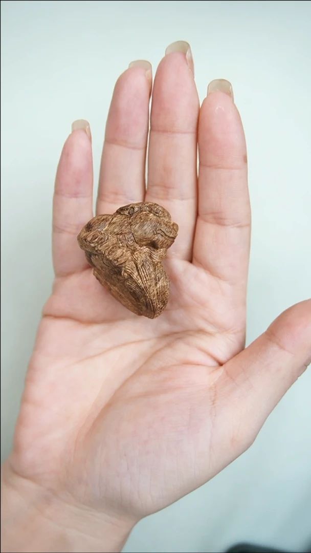 沉香碎屑沉香加里曼丹沉香 貔貅 5401