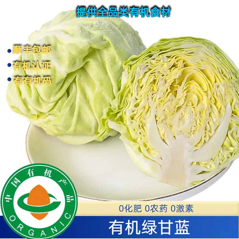 有机绿甘蓝3斤有机认证，低卡有机圆白菜卷心菜包菜有机甘蓝甘兰