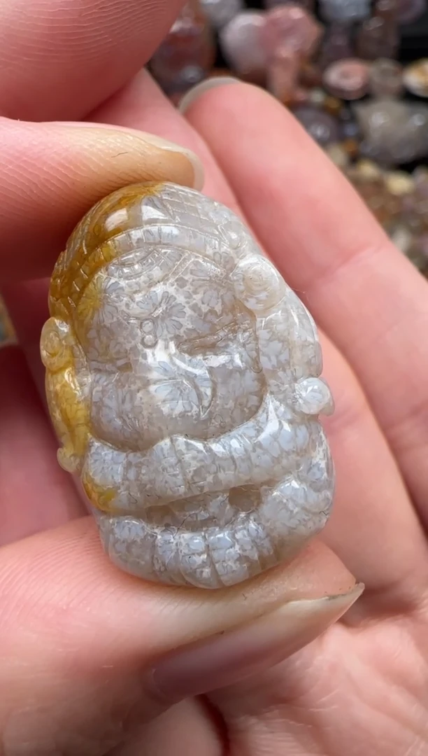 颈饰未镶嵌硅化珊瑚（珊瑚玉）794