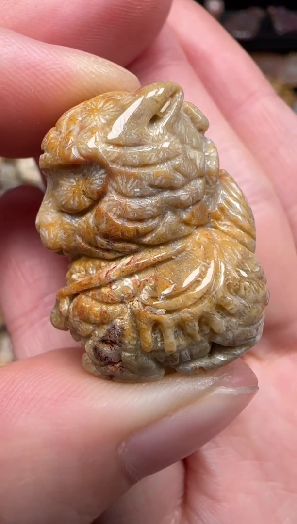 硅化珊瑚（珊瑚玉）未镶嵌颈饰676