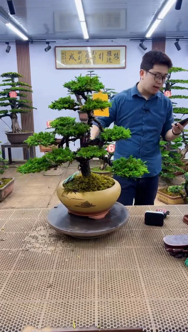 一物一拍，所见即所得