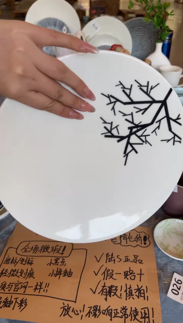 新骨瓷120瑕疵枯木 全标 10,5寸平盘