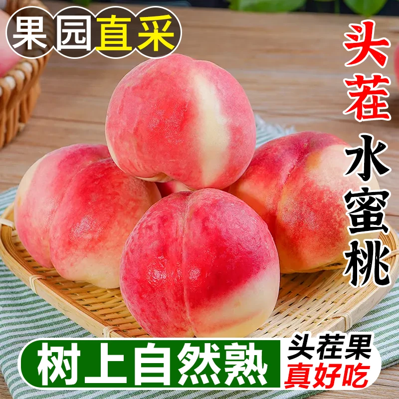 【头茬新鲜】山西水蜜桃红不软脆甜时令应当季桃子新鲜现摘水果