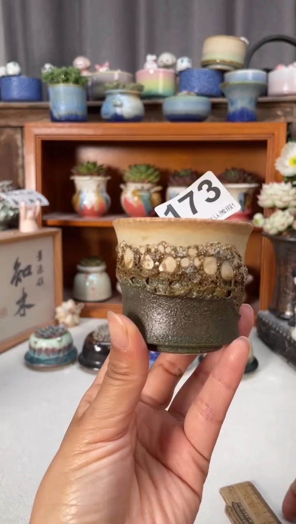瓷片173小芳直播编号