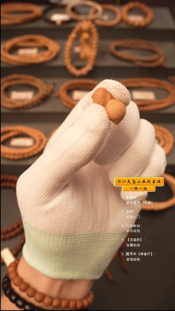 吊坠五线菩提刘*江手串