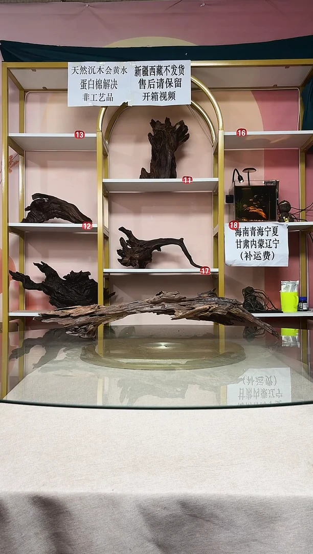 阿**物山丘沉木秒沉水A180