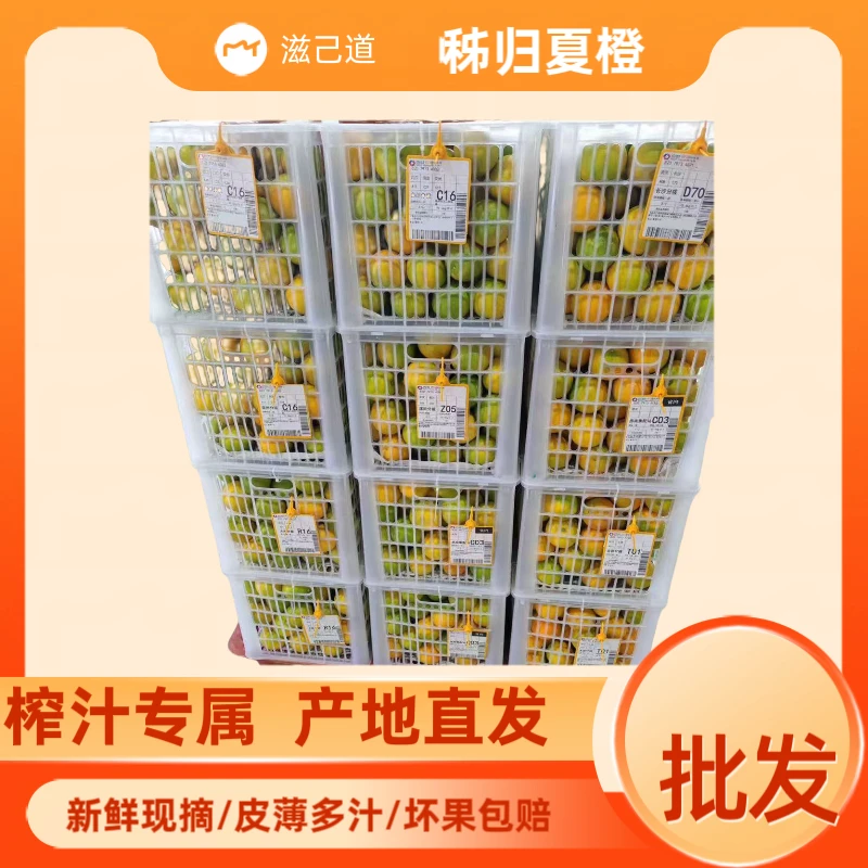 【夏橙榨汁专属】秭归夏橙现采先发新鲜皮薄多汁摆摊榨汁孕妇水果