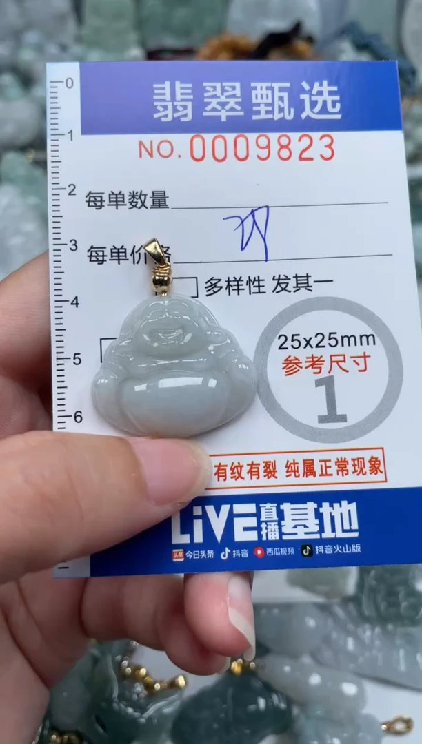 颈饰未镶嵌翡翠9823