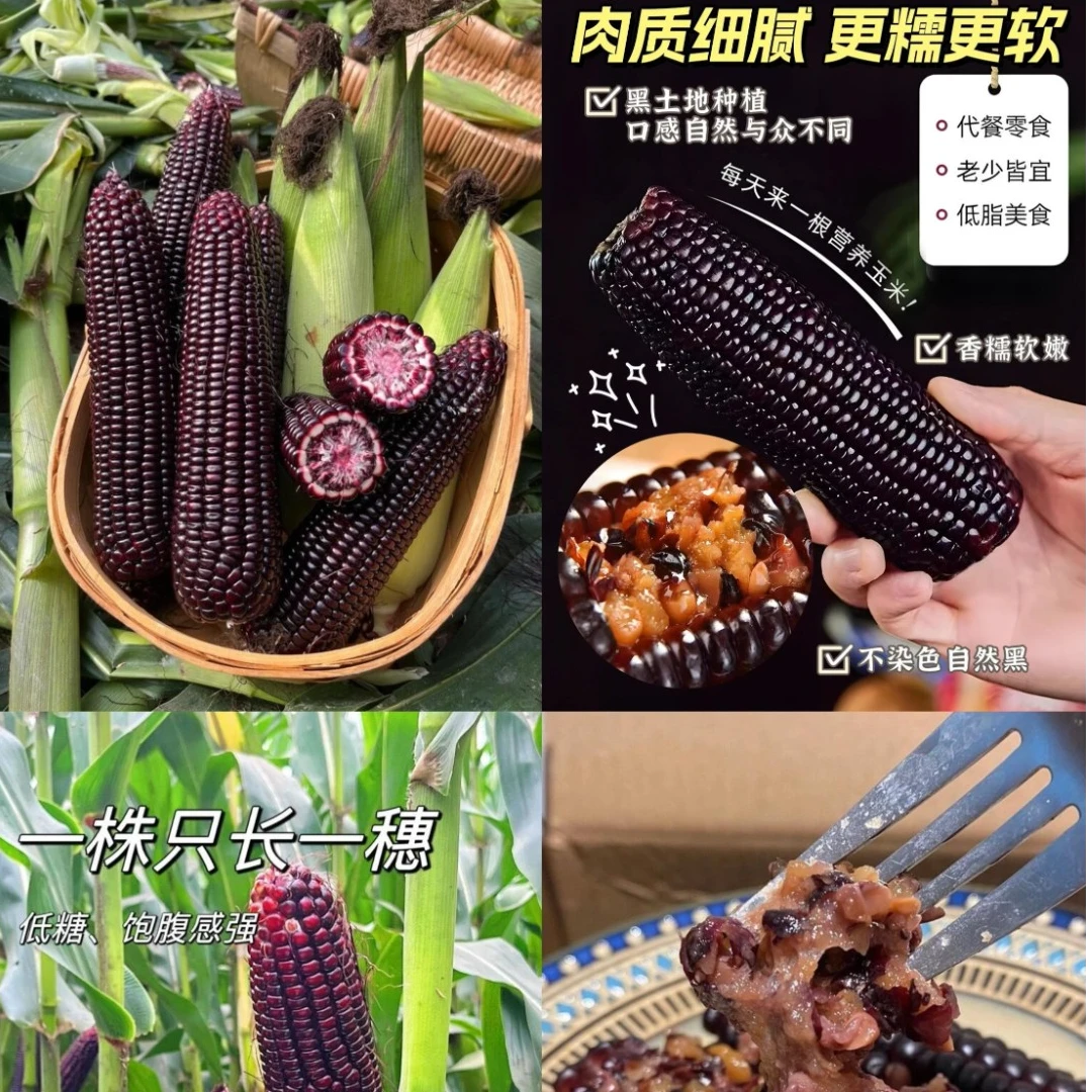 【畛棒】黑糯玉米棒富含花青素真空包装开袋即食220g*6根