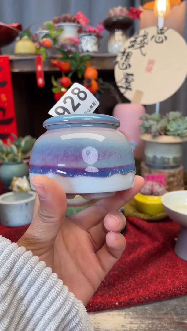 【闪购商品】摆件928知木小芳花盆