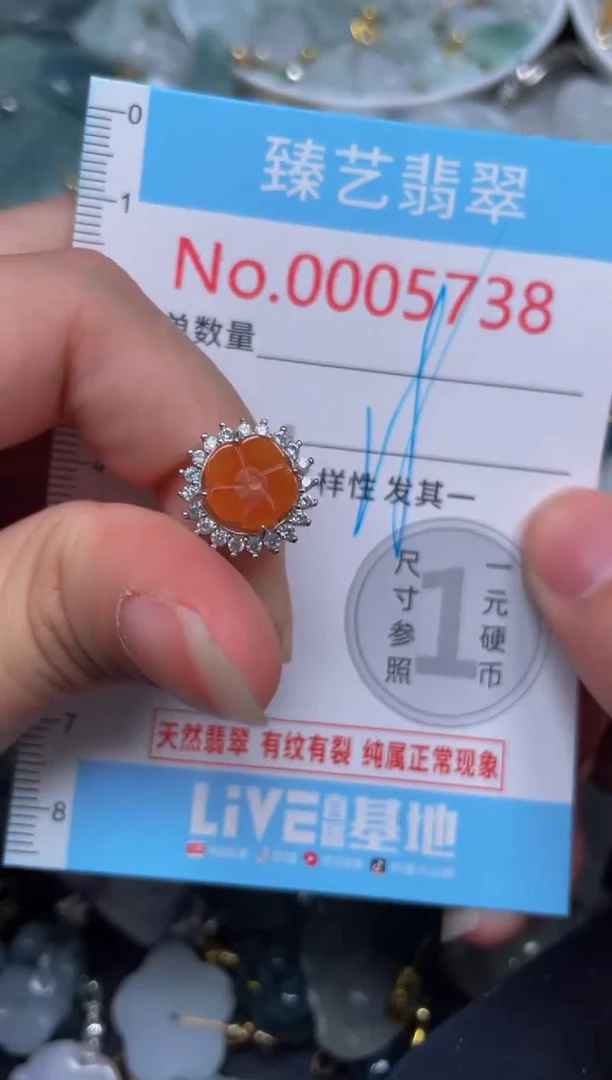 颈饰未镶嵌翡翠5738