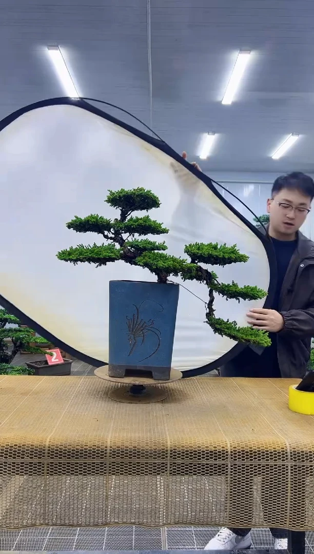 000000000000000000000