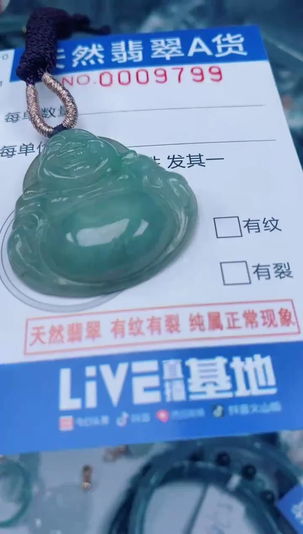 颈饰未镶嵌翡翠00009799