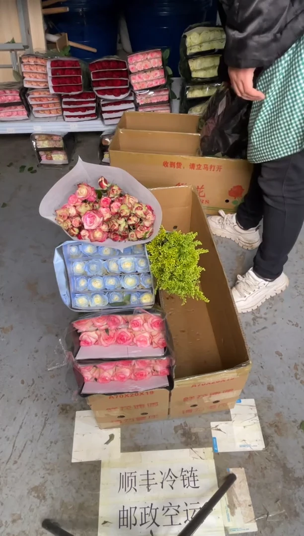 艾沙20枝+碎冰蓝20枝+折射10枝+黄莺