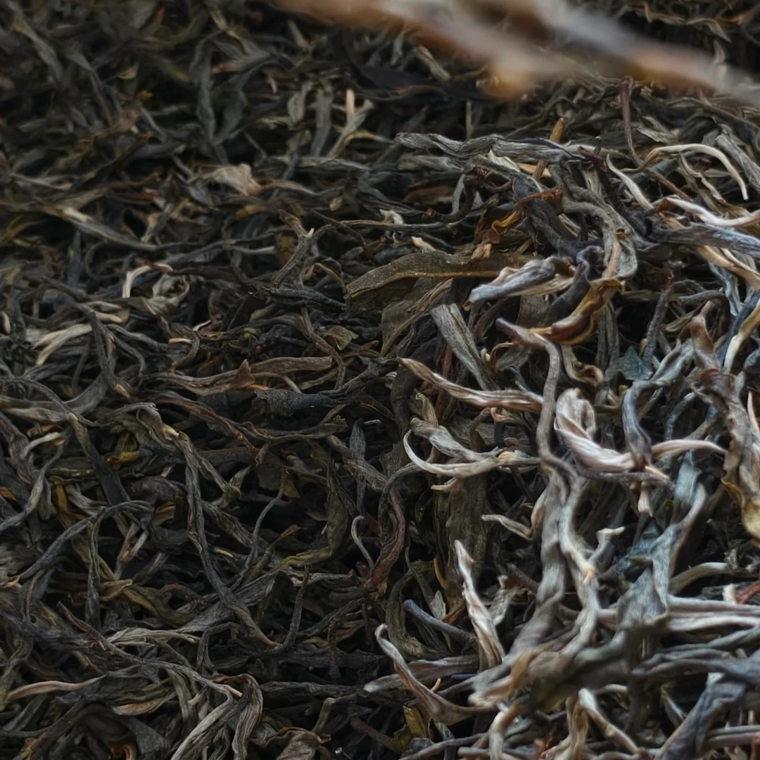 曾盛号【冰岛 糯伍】2025春采古树散生茶 8克/一泡精品装 新人福利~