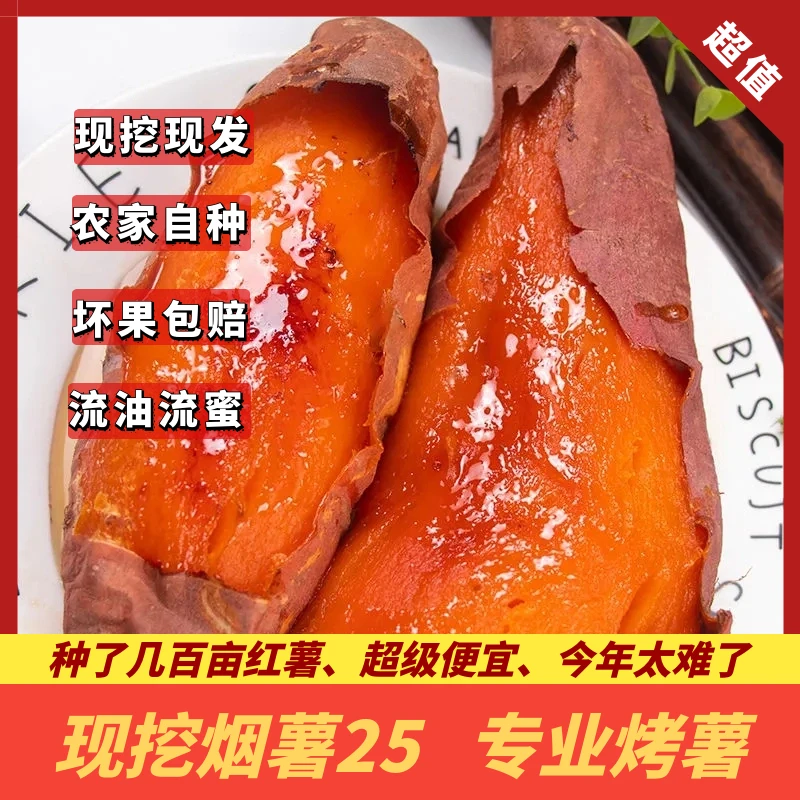 【薯再来】正宗烟薯25地瓜流蜜红薯净重5斤装烤薯