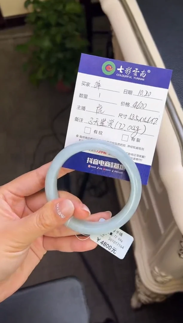 未镶嵌手镯翡翠萍*蓝冰