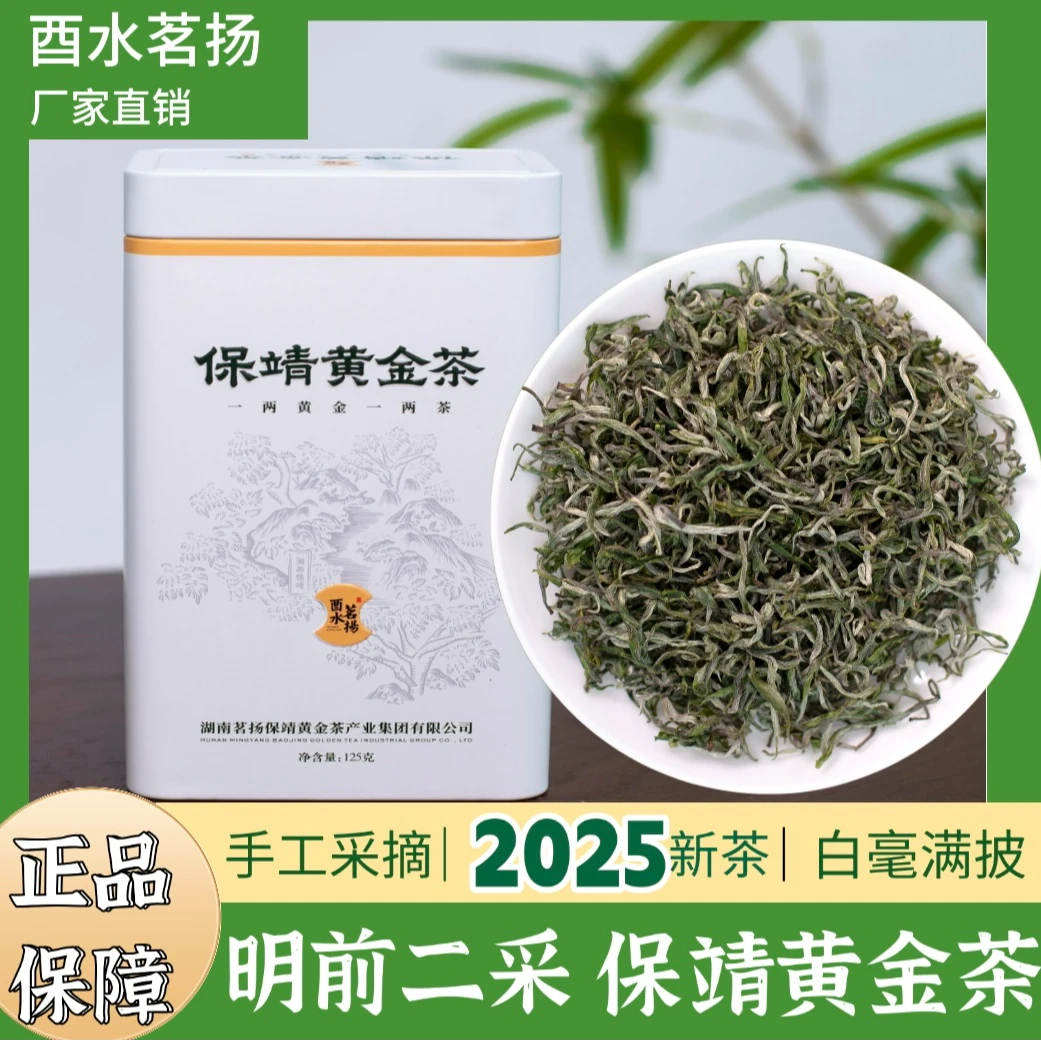 2025新茶湖南湘西保靖黄金茶 明前特级一号春茶绿茶 翠绿显毫
