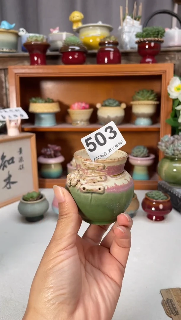 瓷片503小芳直播编号