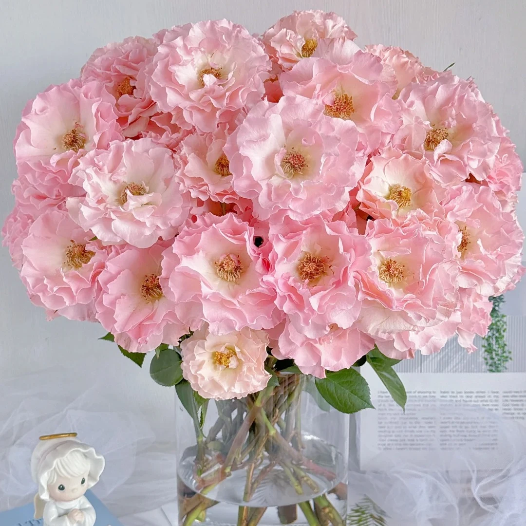 【新品上架】人鱼公主#多头玫瑰#粉色系#高颜值#家庭插花