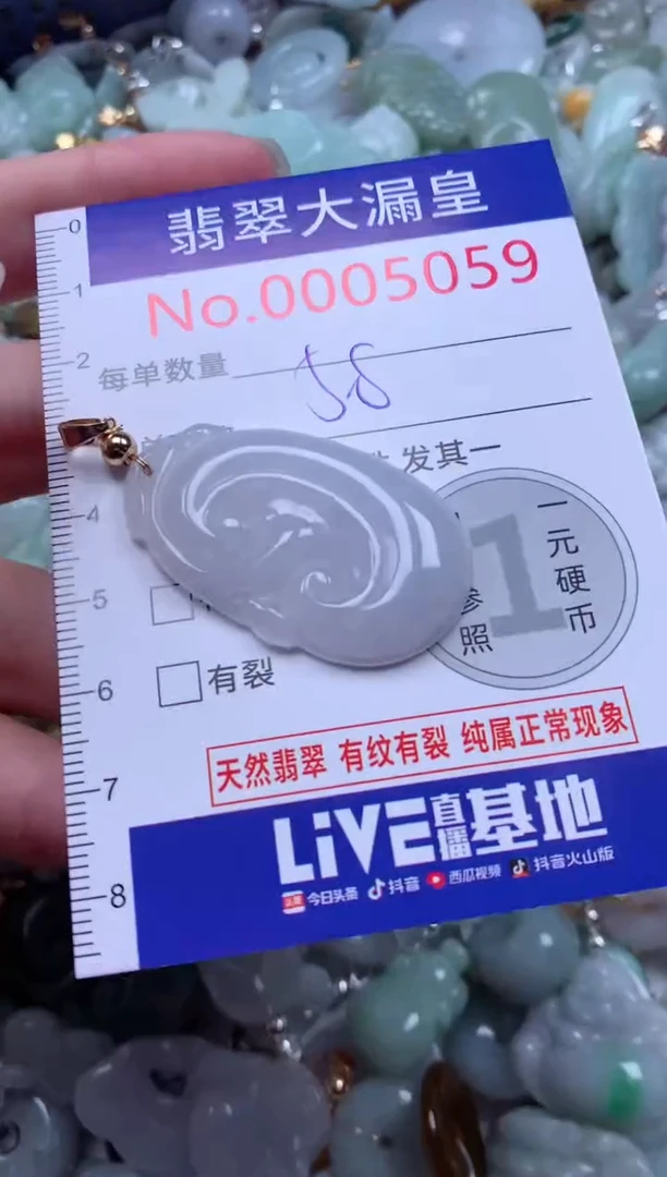 翡翠未镶嵌吊坠(不含链)5059