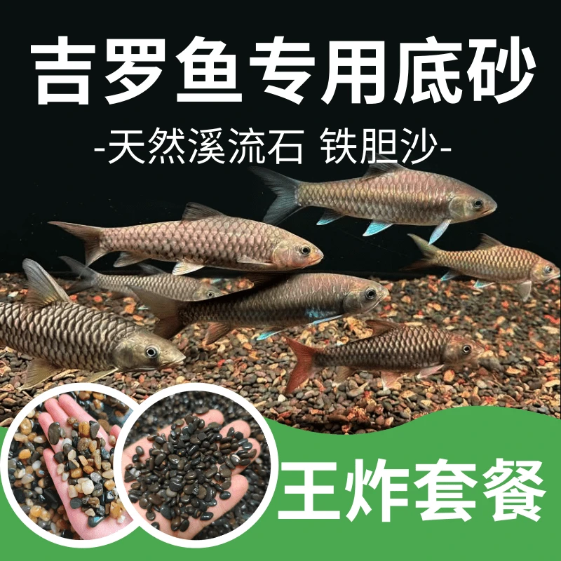 吉罗鱼专用铁胆沙溪流石鱼缸造景沙天然黑工砂乌龟缸水族装饰鳌虾
