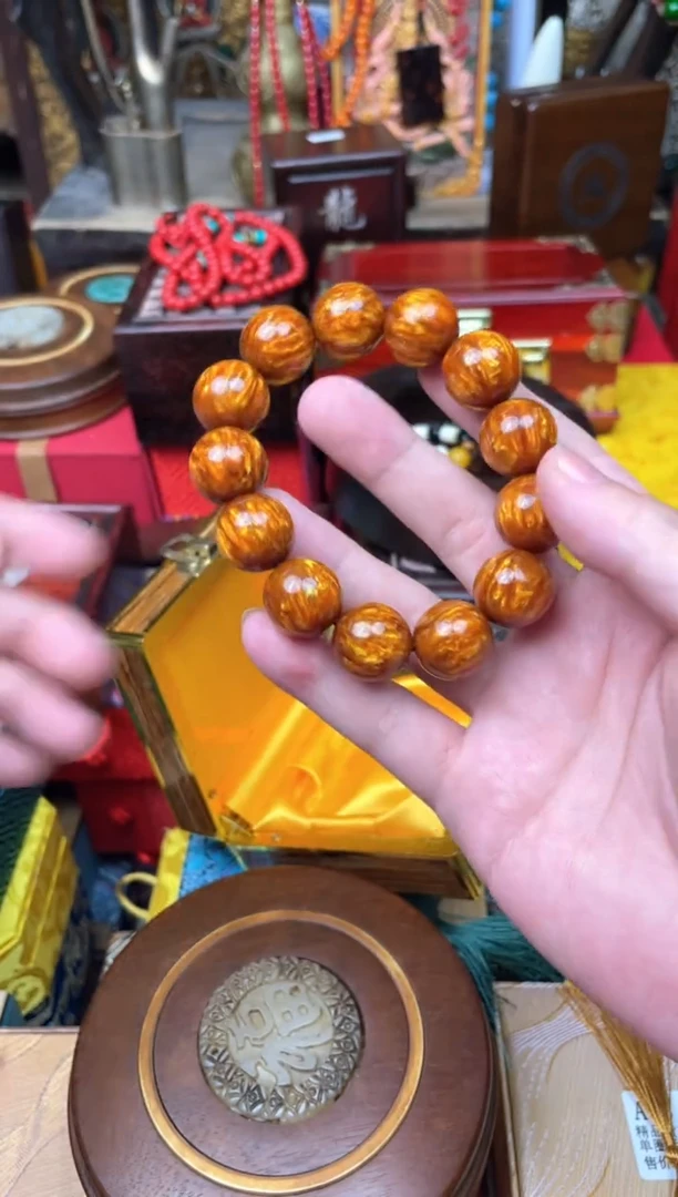 木------------金海柳2.0