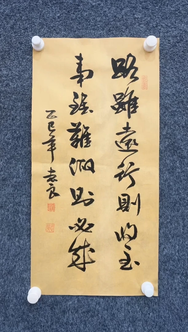 国画10.26zz-袁志良-不带国检证书-书法