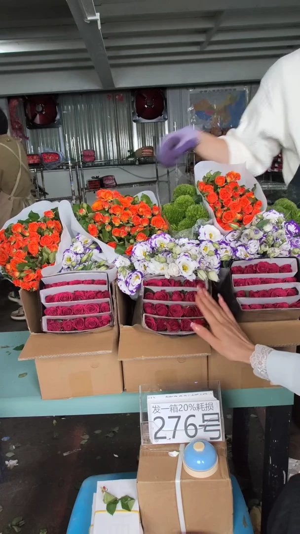 276号♥含20%耗损发一箱