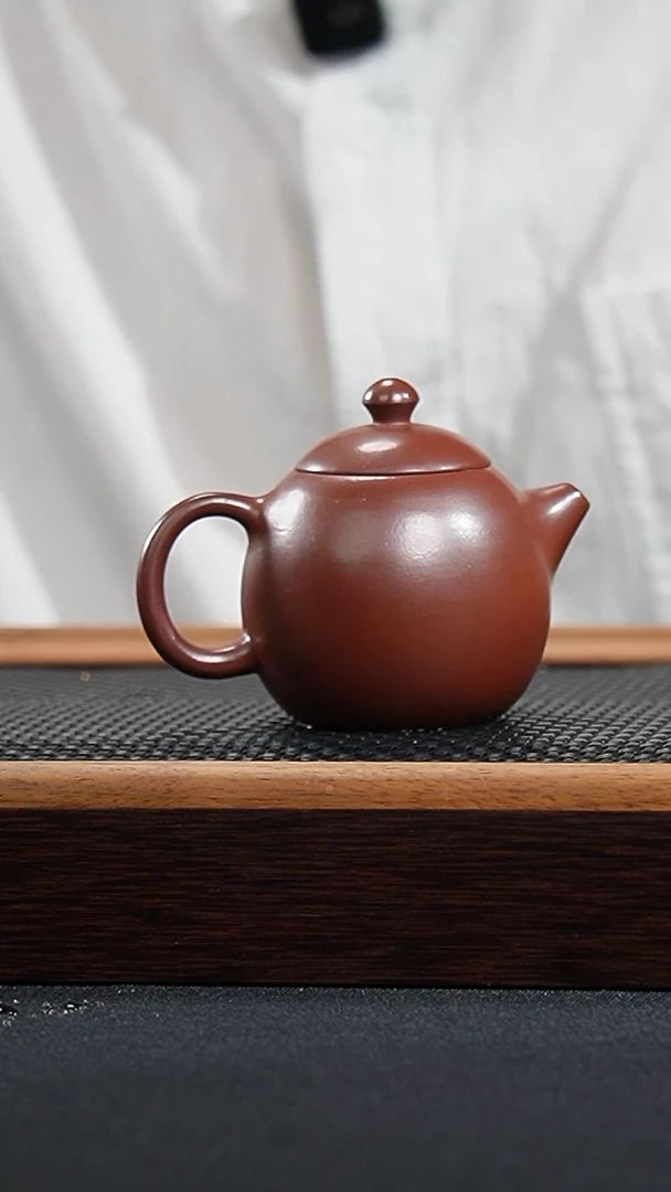 茶壶紫砂 一壶漂泊紫砂茶器1604