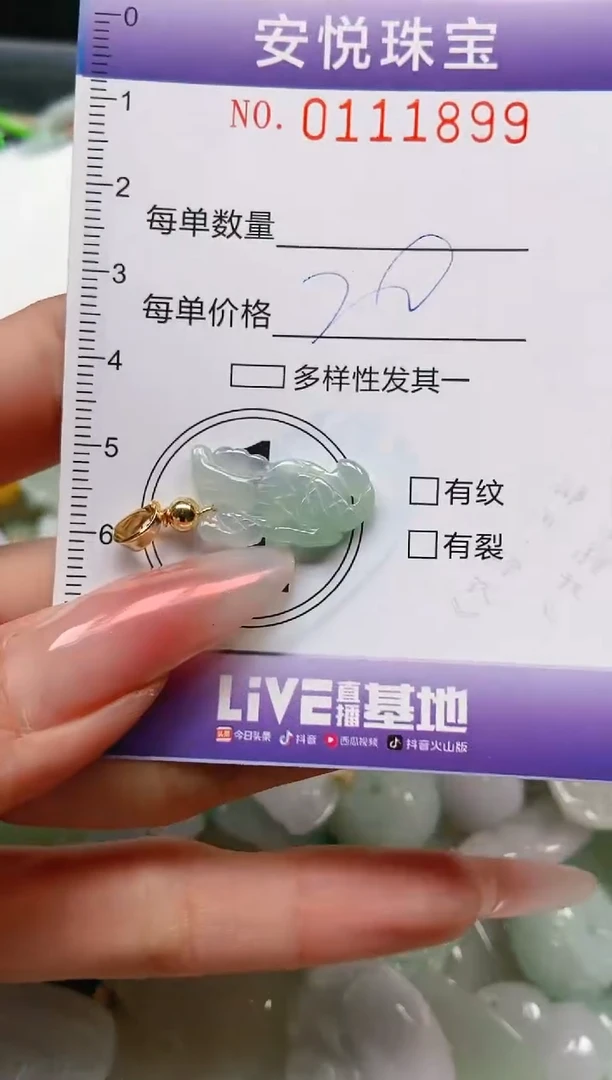 【闪购商品】翡翠颈饰未镶嵌闪购0111899