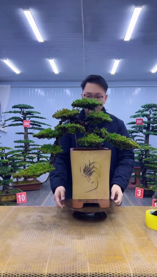 无花朵000000000000000000000