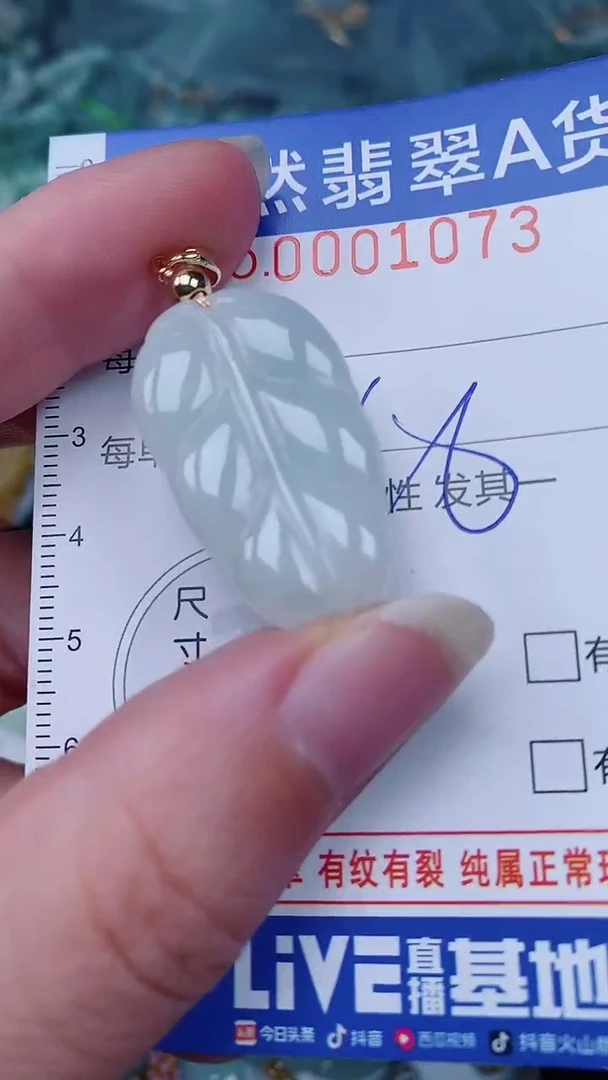 翡翠未镶嵌颈饰00001073