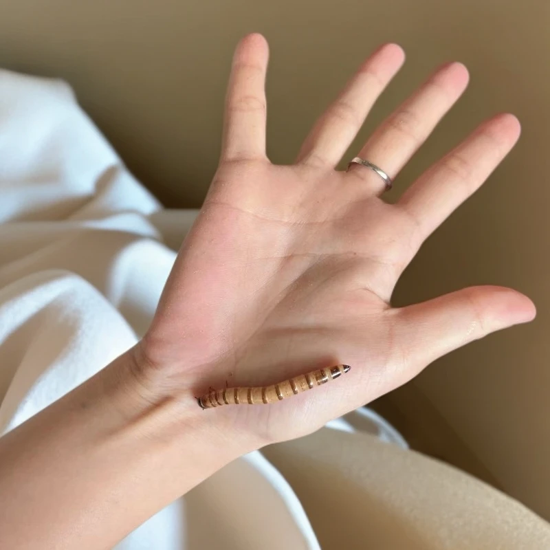 【顺丰包邮】4到5厘米左右大麦虫10斤批发鱼鸟龟类鼠类虫子饲料