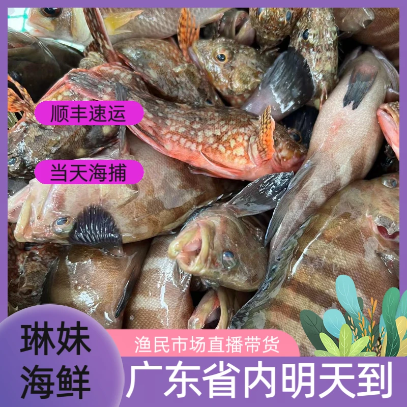 广东阳江天然小渔村野生小杂鱼，介意大小慎拍，500g起拍,顺丰快递
