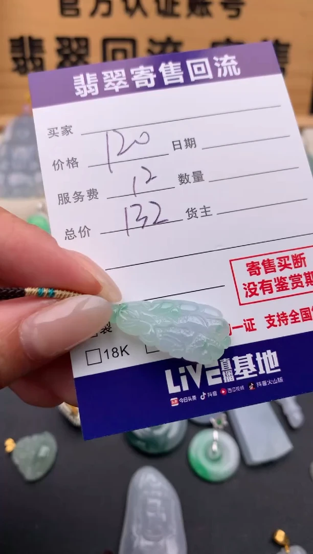 翡翠未镶嵌颈饰10135505