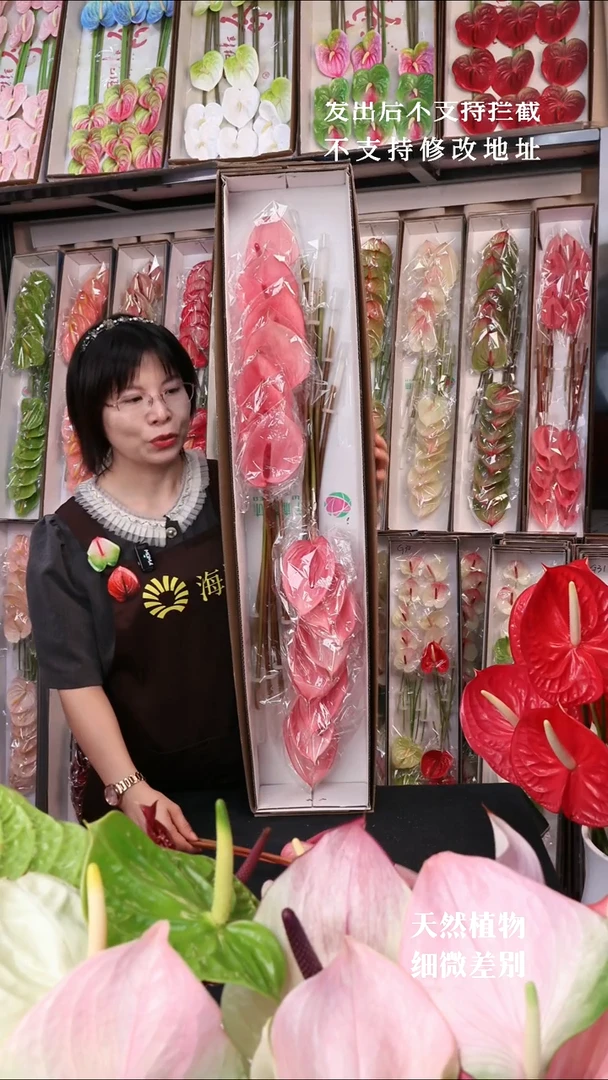 千里马16支68包邮无售后