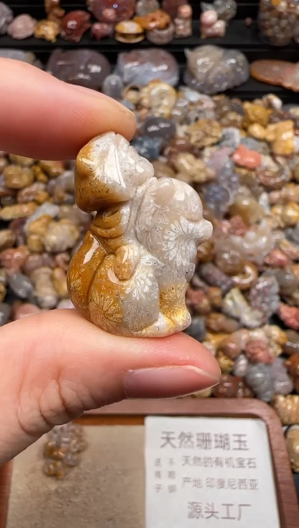 硅化珊瑚（珊瑚玉）未镶嵌颈饰170