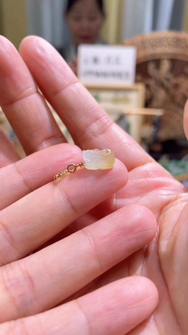 翡翠未镶嵌颈饰貔貅