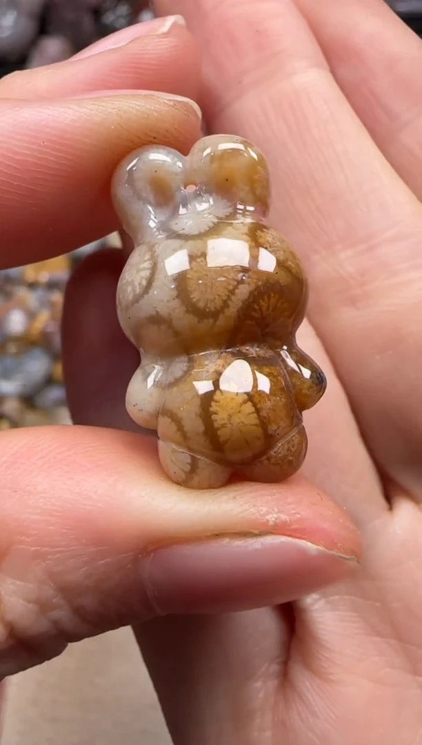 【闪购商品】硅化珊瑚（珊瑚玉）颈饰未镶嵌228