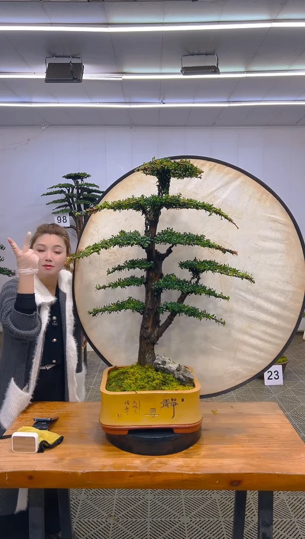 无花朵一物一拍一物一拍