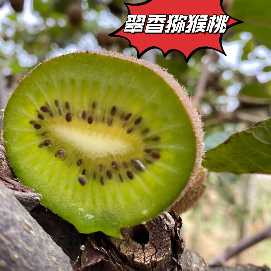 陕西翠香猕猴桃皮薄肉厚软糯香甜新鲜采摘 产地直发