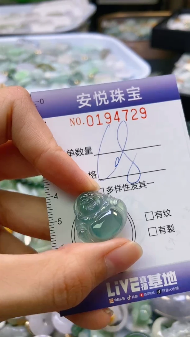 翡翠未镶嵌颈饰闪购0194729