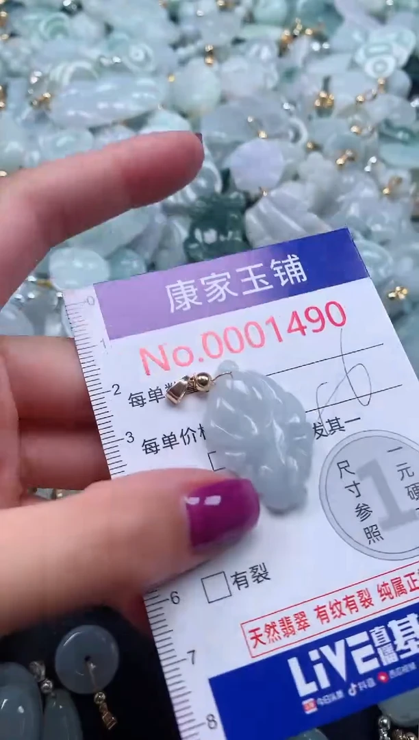 颈饰未镶嵌翡翠1490