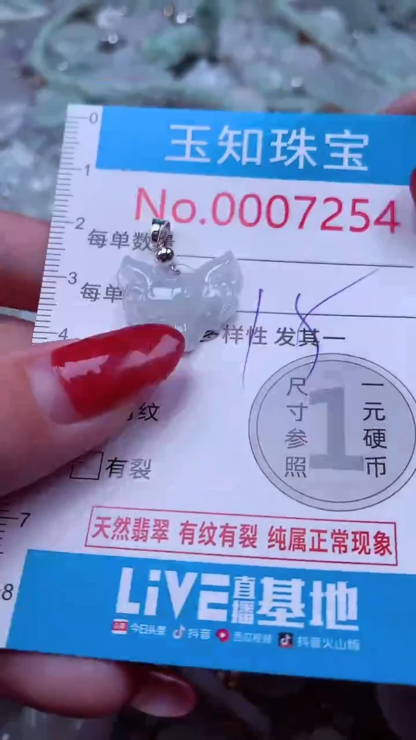 颈饰未镶嵌翡翠7254